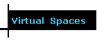 Virtual  Spaces